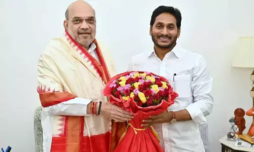 Jagan urges Shah to help resolve bifurcation issues