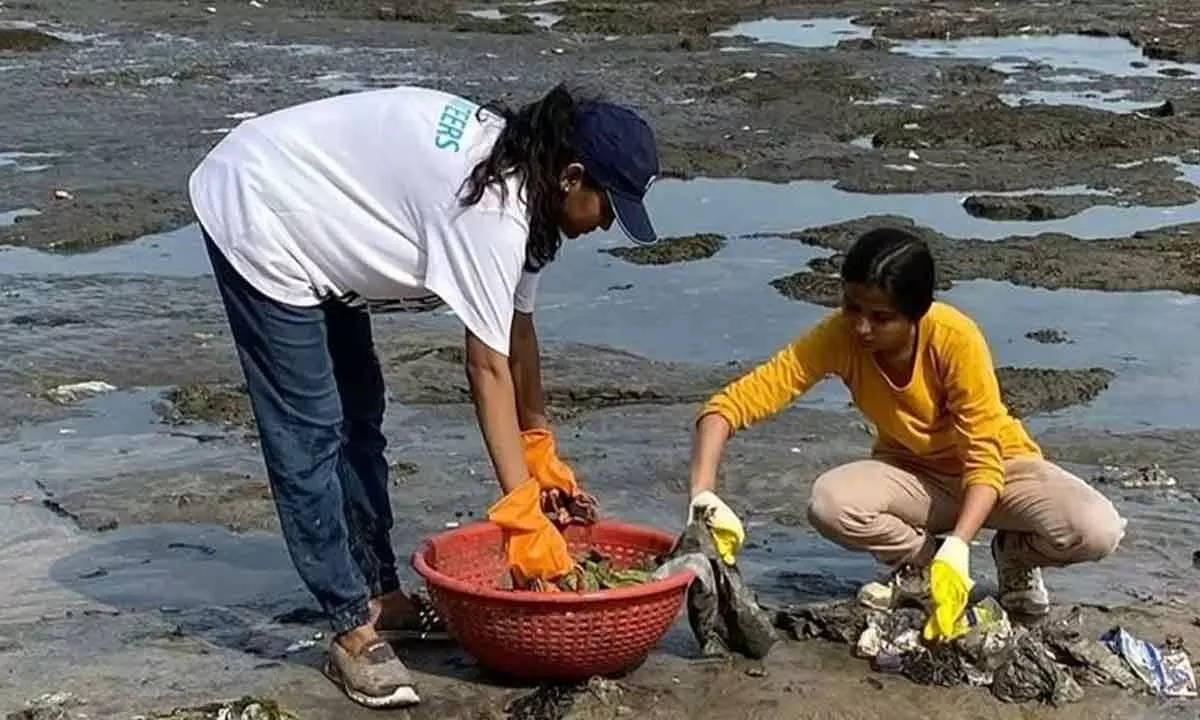 The Cleaning our Coastlines project