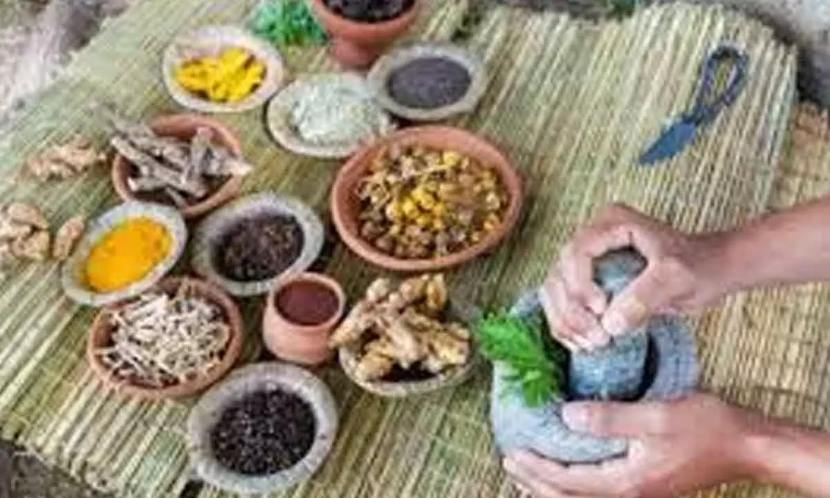 Thrust to Indian traditional medicine exports