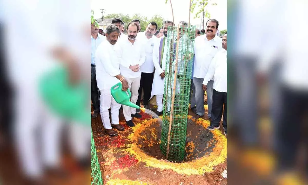 Panyam MLA Katasani Rambhupal Reddy watering a sapling at 19th ward in Kurnool on Sunday. Mayor B Y Ramaiah, Commissioner A Bhargav Tej and MLA Hafeez Khan are also seen.