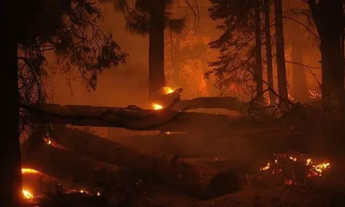 4 killed in Pakistans forest fire