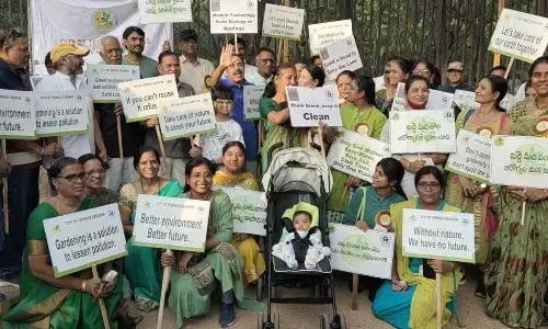 Protect environment & raise gardens, people urged