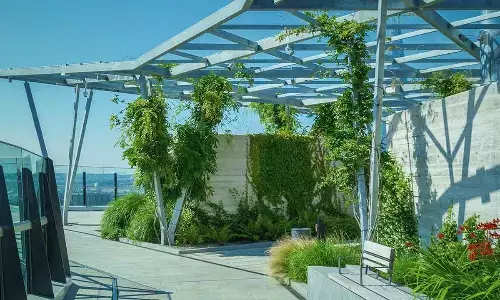 World Green Roof Day