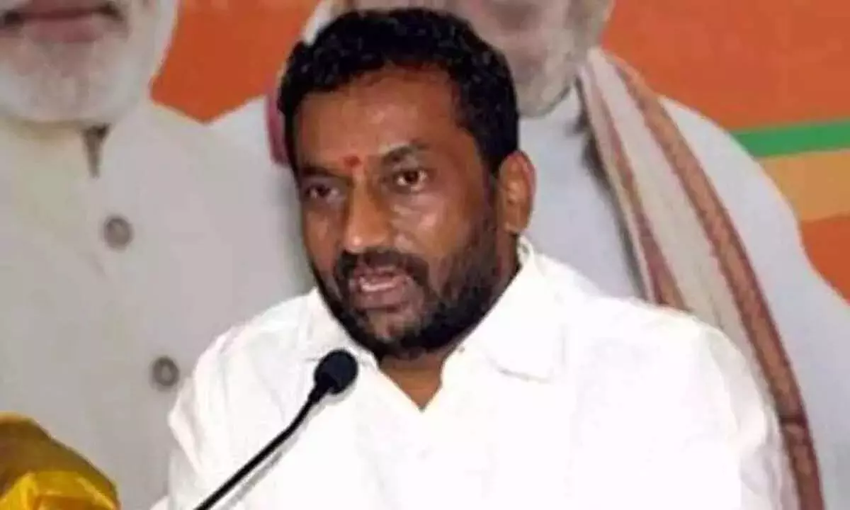 BJP MLA Raghunandan Rao