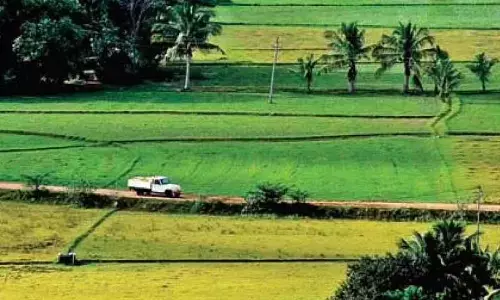 Konaseema farmers declare crop holiday for kharif