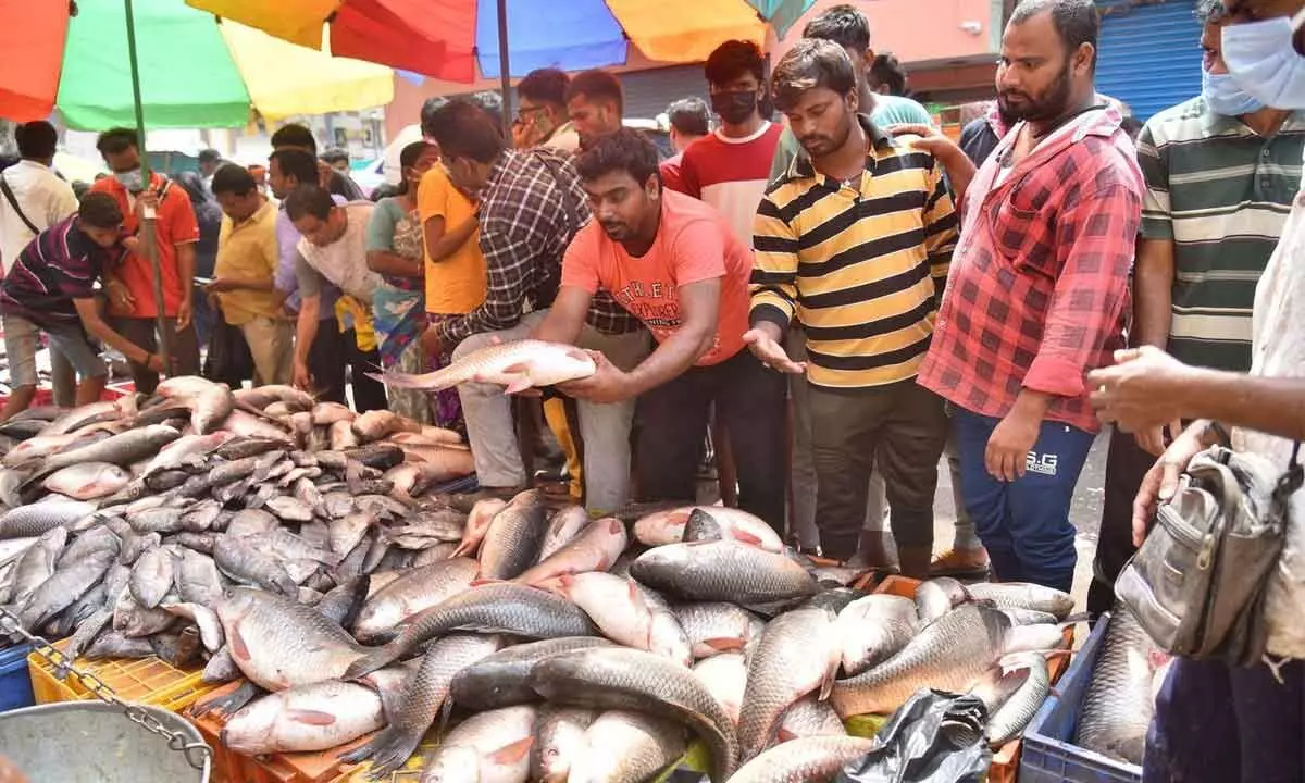 Hyderabad: Fish sales shoot through the roof