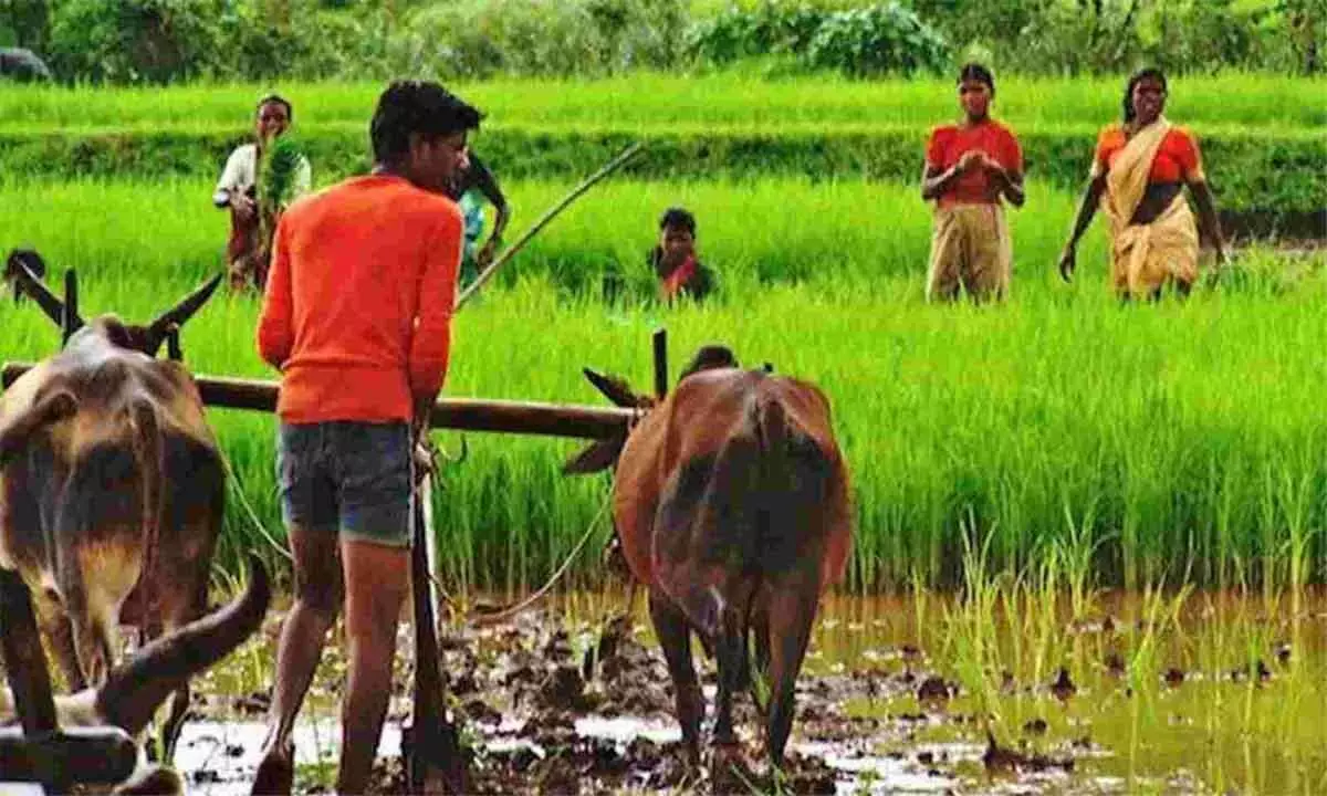 National Farm Workers Day