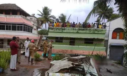 Father And Son Died In Kerala During Coconut Plucking