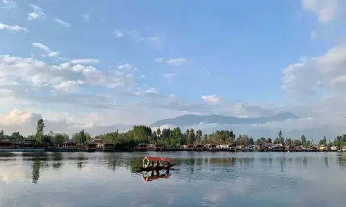 For representational purpose