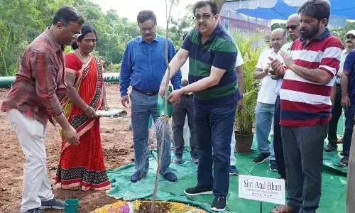 RINL launches massive plantation drive at Ukkunagaram