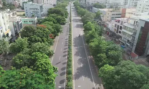 VMC takes up massive plantation drive