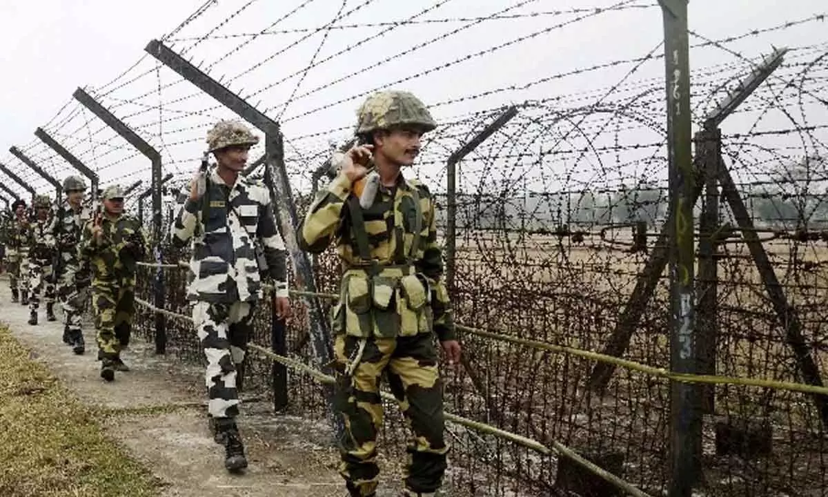 Suspicious movement detected by BSF along IB