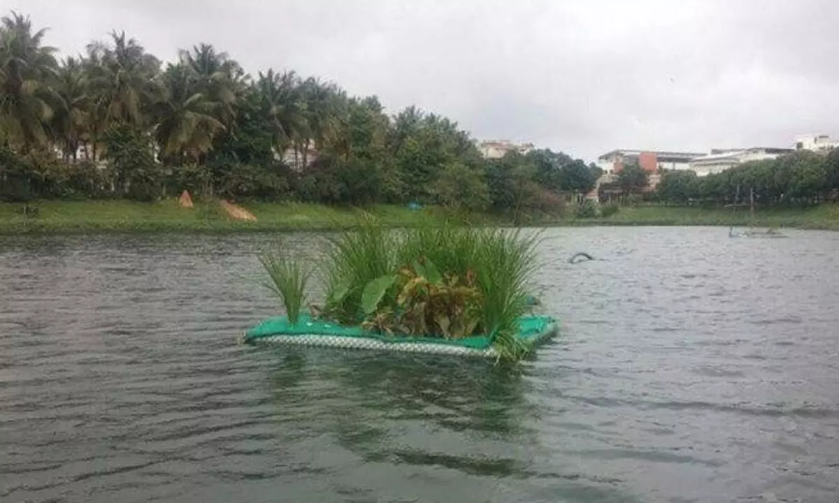 Out of 210 lakes in Bengaluru, 19 have disappeared, 21 free from encroachment