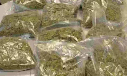 Hyderabad: Huge cannabis found in car met with accident