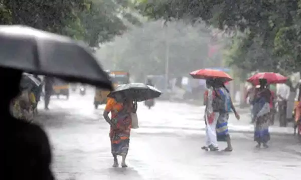 Southwest Monsoon hits Andhra Pradesh, rains to lash for three days in Rayalaseema
