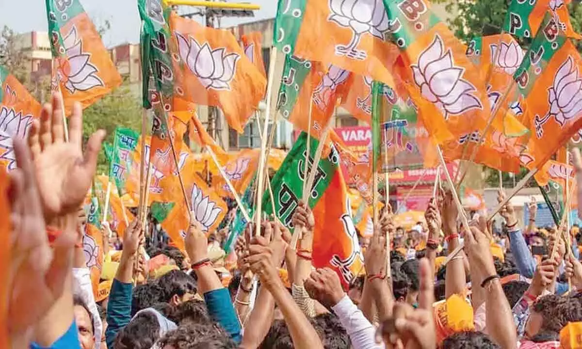 BJP strategy meet to set tone for polls
