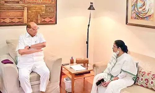 Pawar refuses to run for President