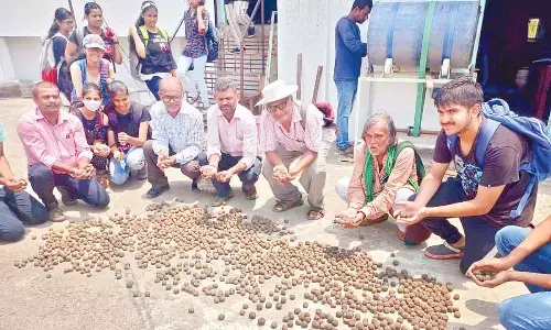 Aryabhatta prepares for 5 lakh seed balls