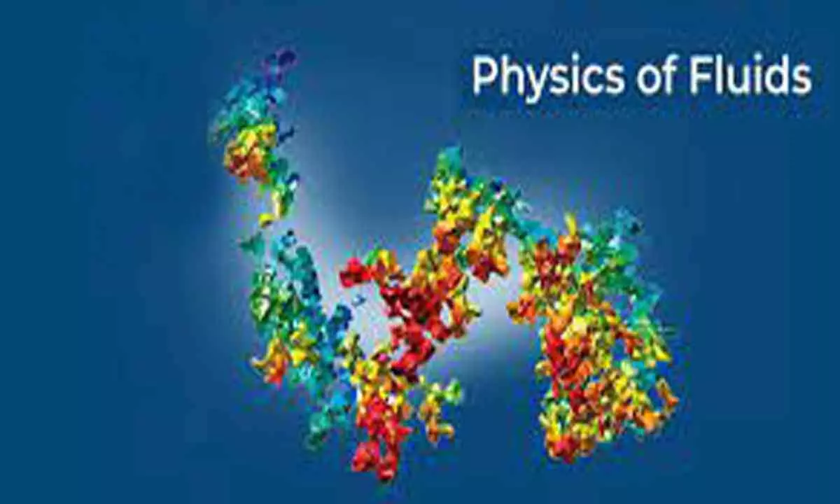 3-day workshop on Physics of Fluids from June 28