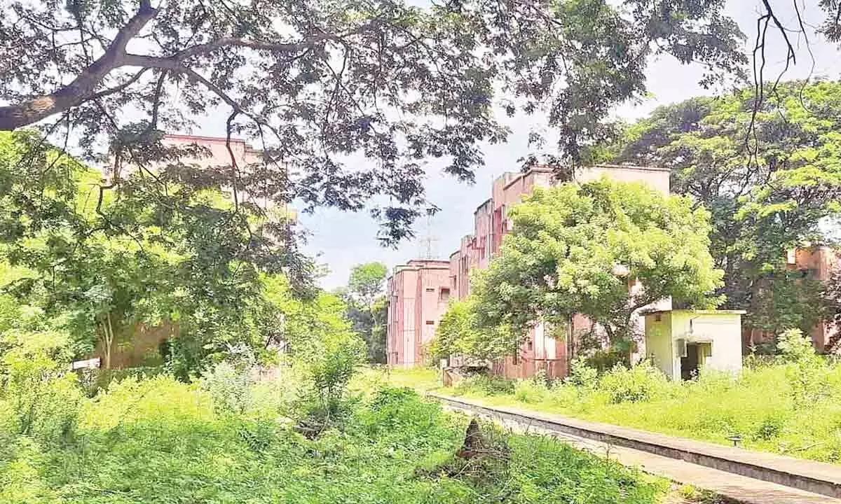 The railway quarters lying vacant at Vadlapudi in Visakhapatnam