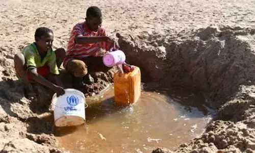 UN agencies launch drought response package to avert famine in Somalia