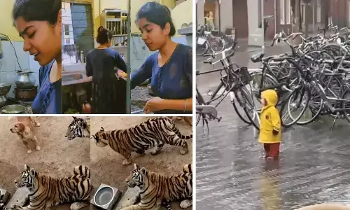 Top Trending Videos Of The Week