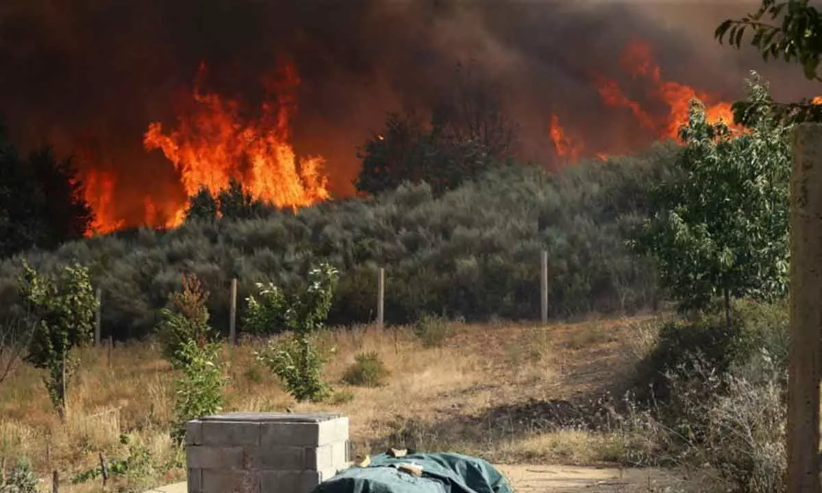Out-of-control wildfire in Spain continues to rage