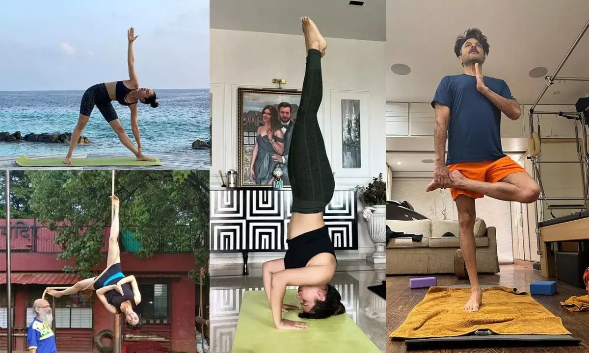 International Yoga Day Malaika Arora, Shama Sikander And A Few Other B-Town Actors Spread The Importance Of Yoga
