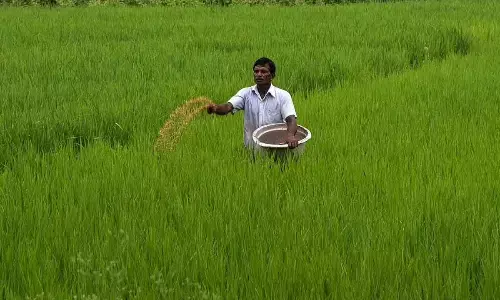 Rythu Bandhu only for farmlands from now?