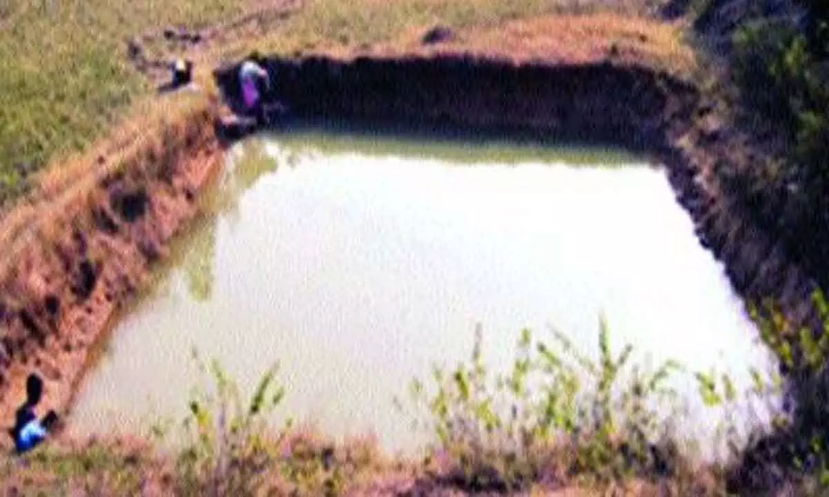 1,500 new rainwater harvesting pits by July 15, says Sisodia