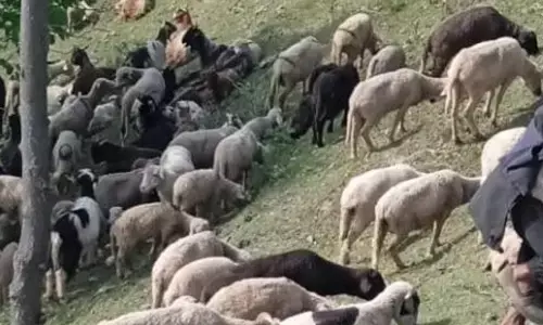 For representational purpose