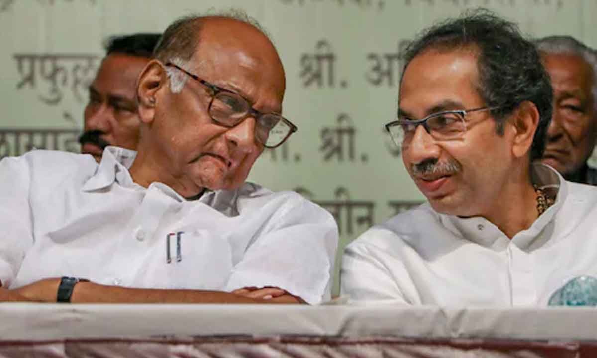 Uddhav eyes 'Pawar punch'