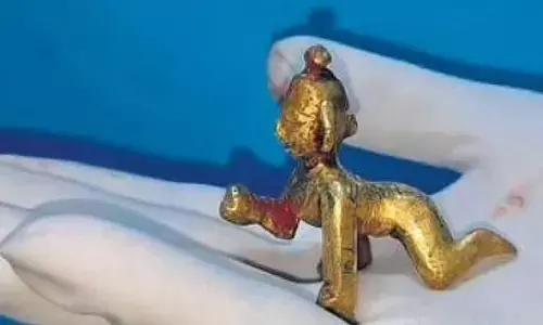 Man From Karnataka Swallows Krishna Idol Unintentionally