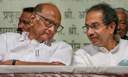 Uddhav eyes Pawar punch