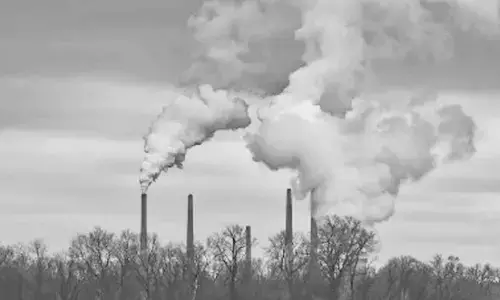 The world is burning. We need a renewables revolution