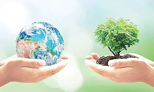 Purpose-driven advertising key to a brands success