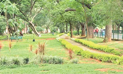 Proposal to ban pets in Cubbon Park draws flak