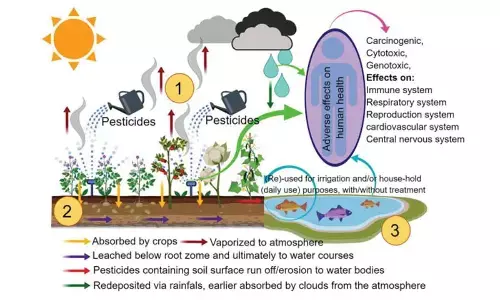 A small step toward eco restoration