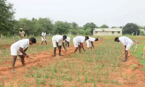 The special initiative in prisons will include counselling sessions on employment opportunities and rehabilitation.