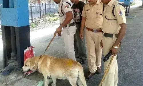 For representational purpose