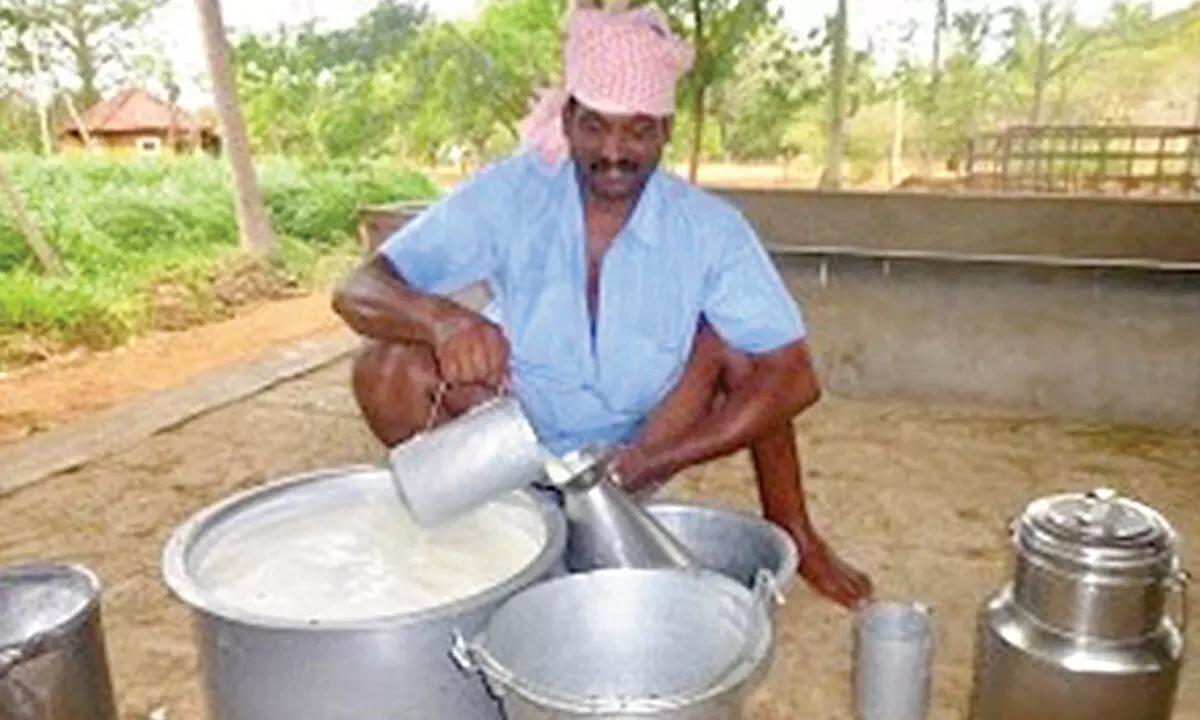 A milk procurement centre in Gooty mandal in Anantapur district
