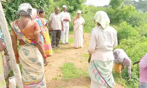 DWMA PD Roja Rani inspecting tank bund works in Srikakulam on Tuesday