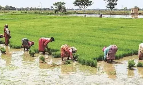 Representational image