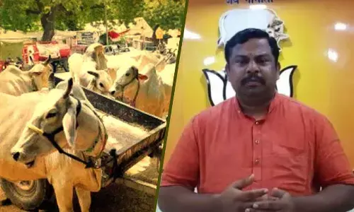 Goshamahal MLA T Raja Singh