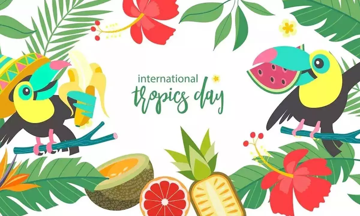 International Day of Tropics