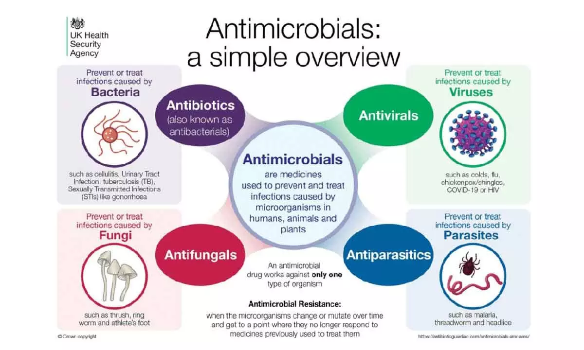 Major campaign underway to contain AMR