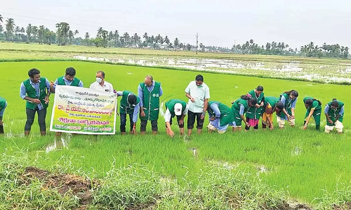 Farmers engaged in cultivation for Kharif in Kakinada district
