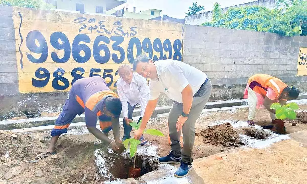 Kakinada Municipal Corporation Additional Commissioner Ch Naga Narasimha Rao planting a sapling in Kakinada on Wednesday