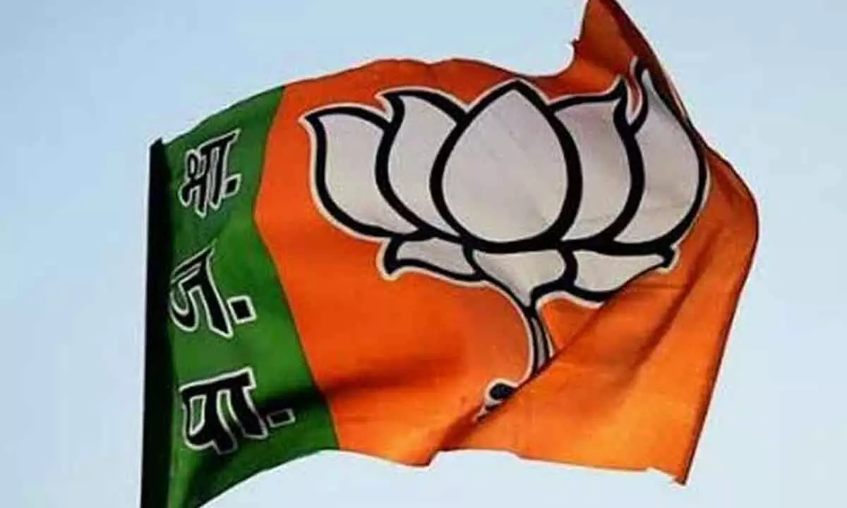 BJP netas plan to tap linguistic minorities to bolster NE meet