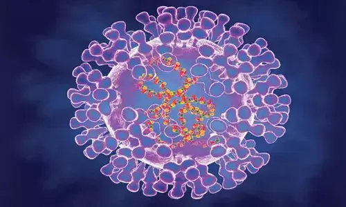 SAs second case of Monkeypox confirmed